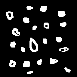 bolhas1
